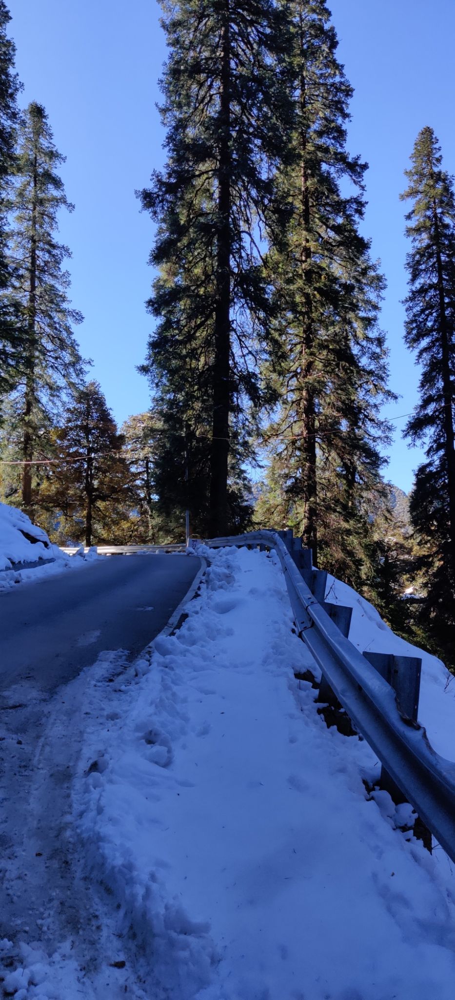 Photo of The Pristine Paths of Jibhi-Jalori Pass by Aparupa Datta