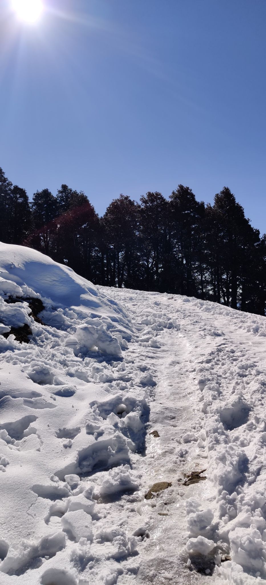 Photo of The Pristine Paths of Jibhi-Jalori Pass by Aparupa Datta