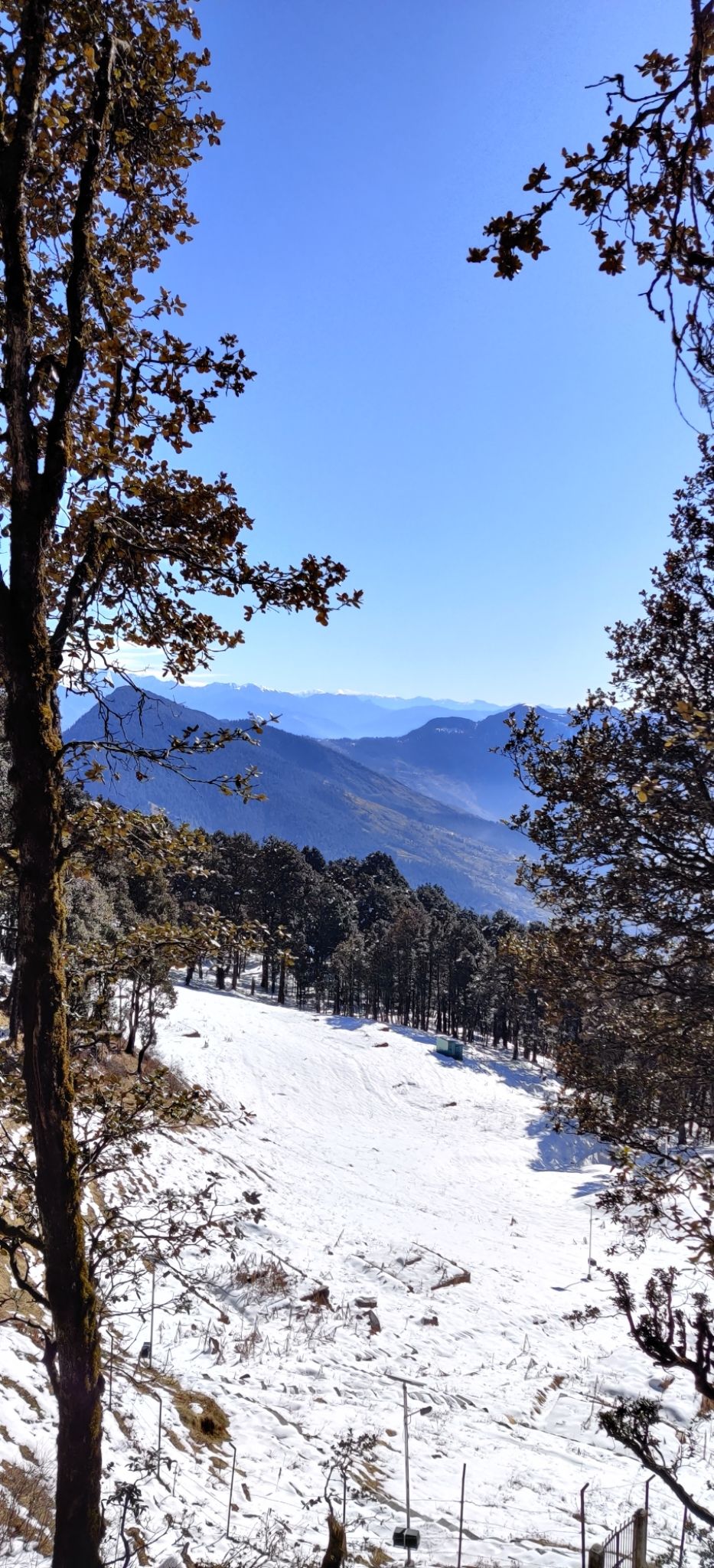 Photo of The Pristine Paths of Jibhi-Jalori Pass by Aparupa Datta