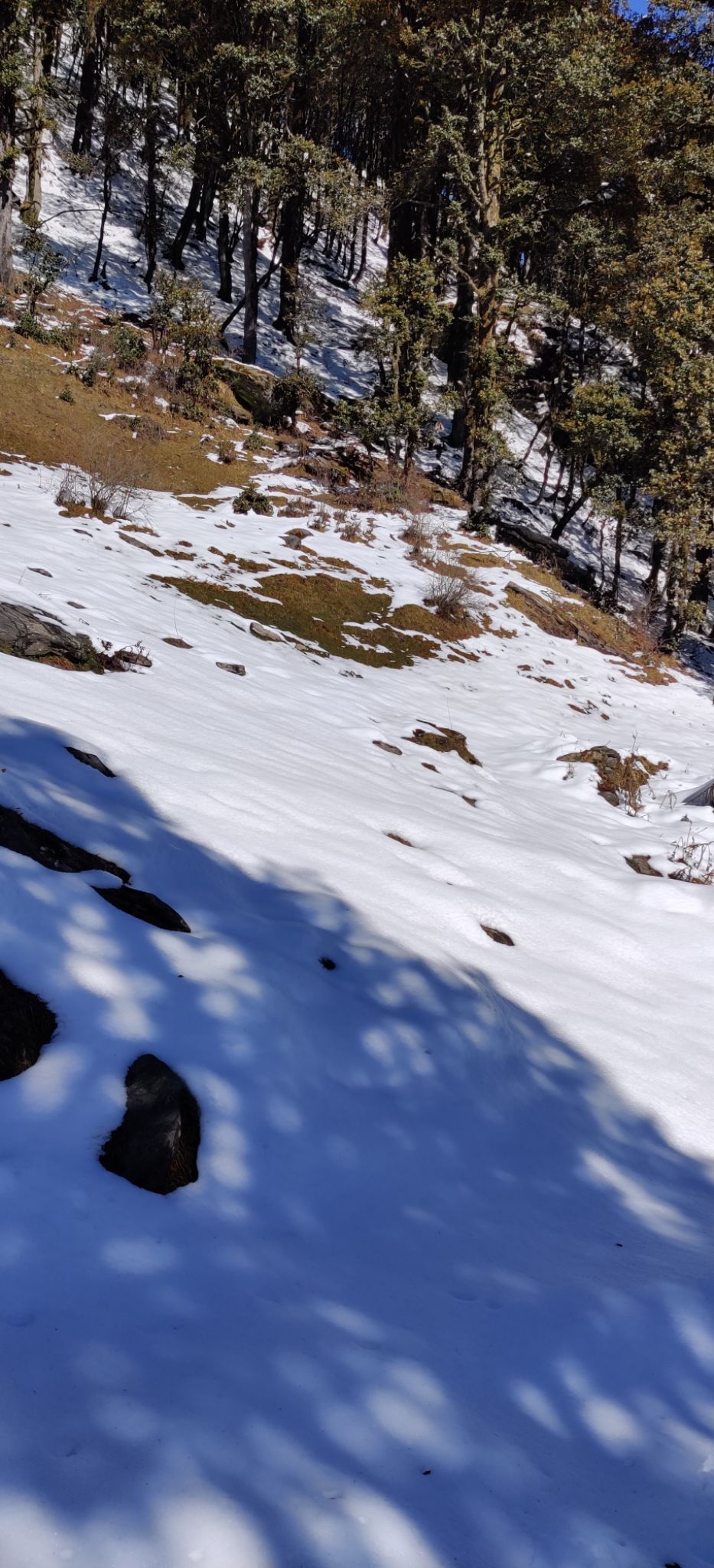 Photo of The Pristine Paths of Jibhi-Jalori Pass by Aparupa Datta