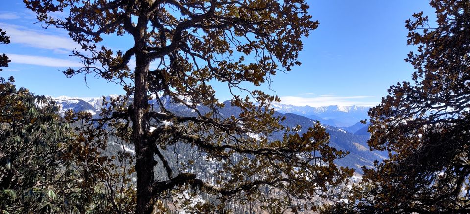 Photo of The Pristine Paths of Jibhi-Jalori Pass by Aparupa Datta