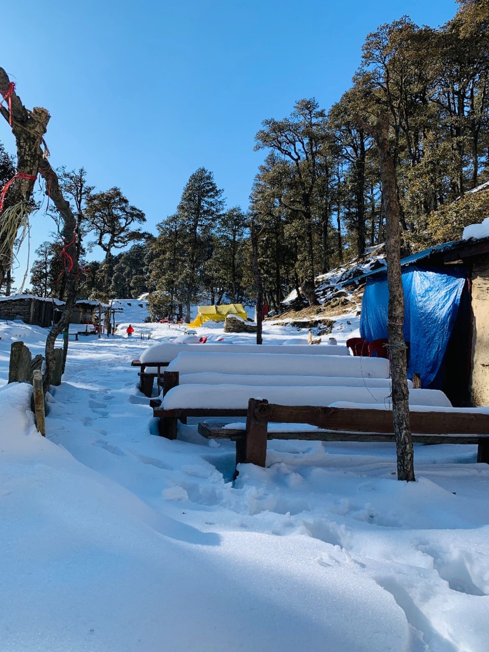 Photo of The Pristine Paths of Jibhi-Jalori Pass by Aparupa Datta