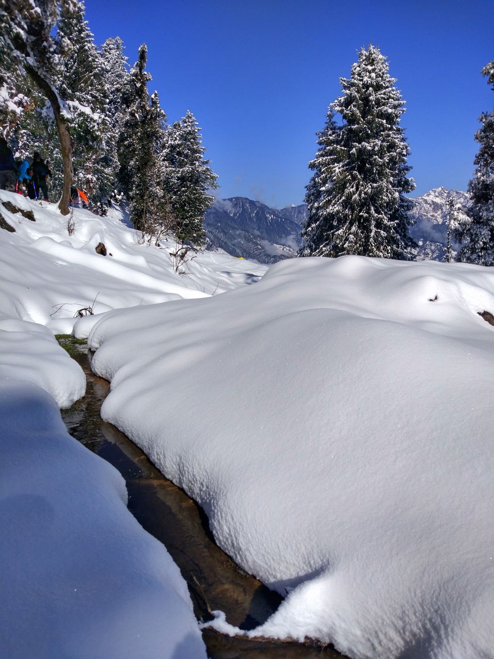 Photo of KedarKantha 12/14 by Akshay Gawde