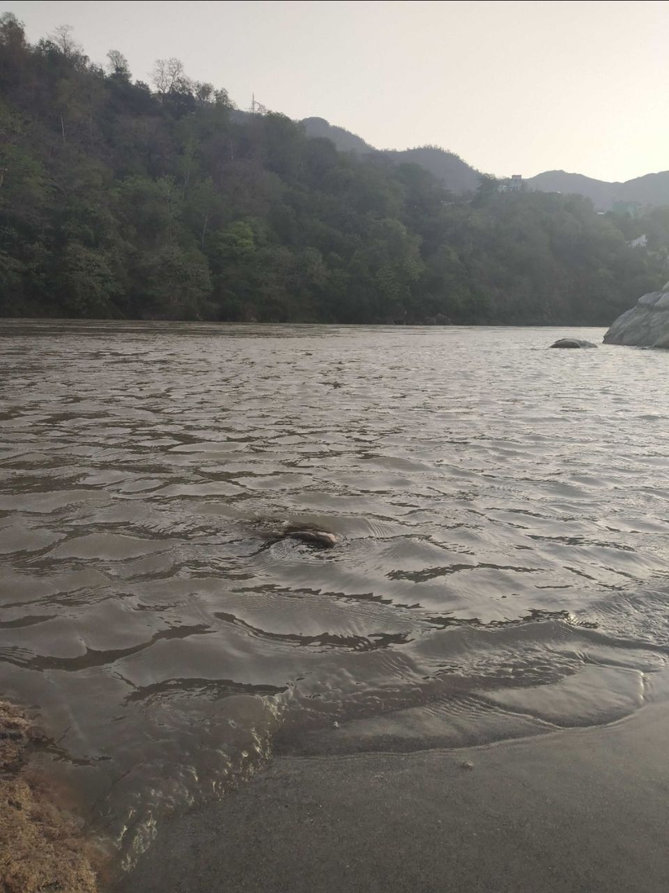 Photo of Ganga Beach, Lakshman Jhula Road, Swarg Ashram, Rishikesh, Uttarakhand, India by vidhisha verma