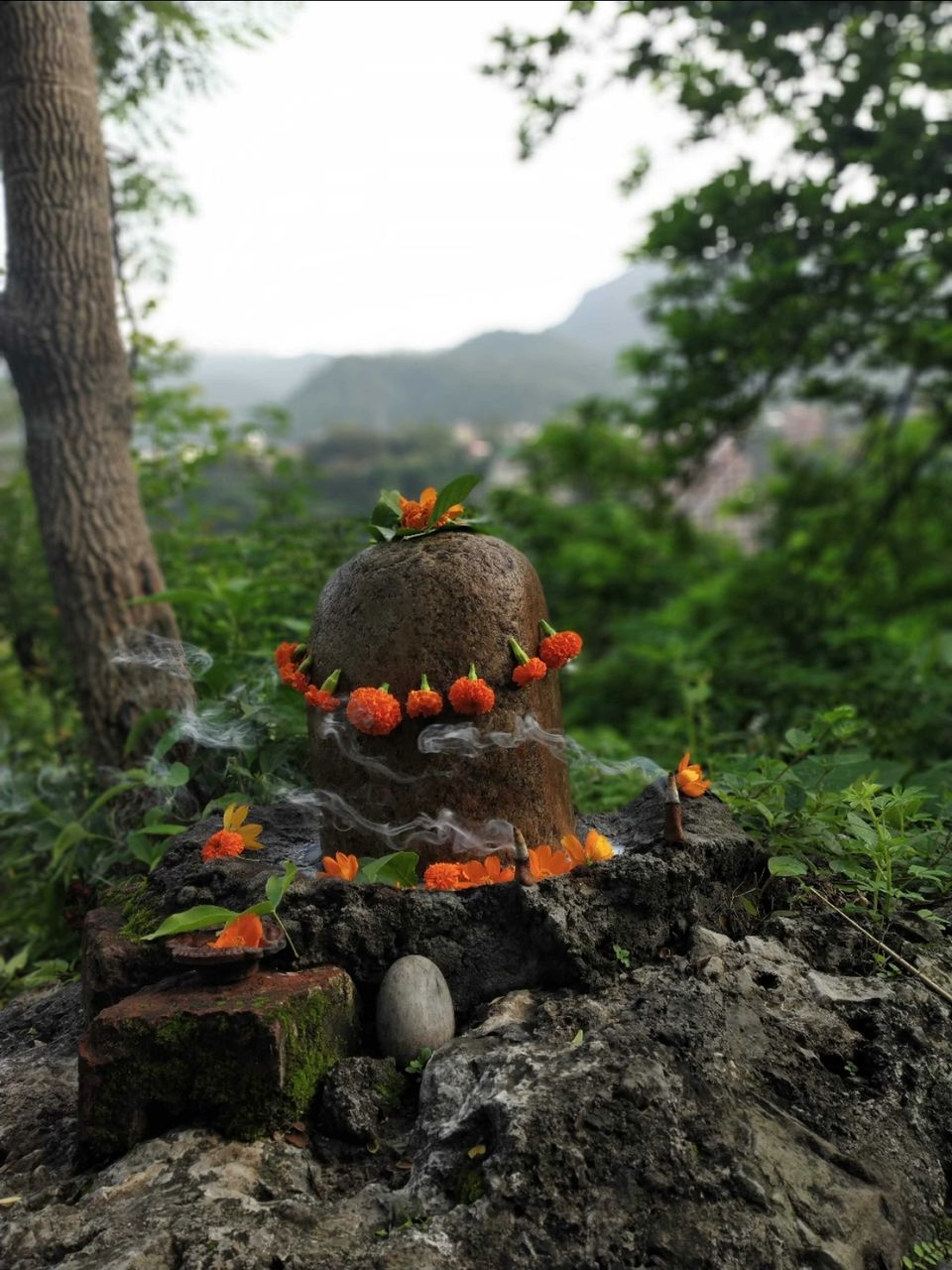 Photo of Waterfalls in Rishikesh by vidhisha verma
