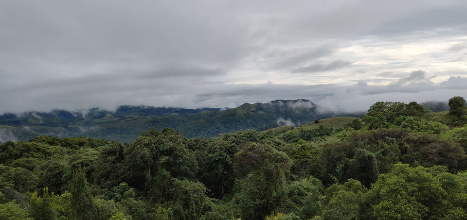 Photo of Coffee & Conversations in Coorg - The Scotland of India by Kaval