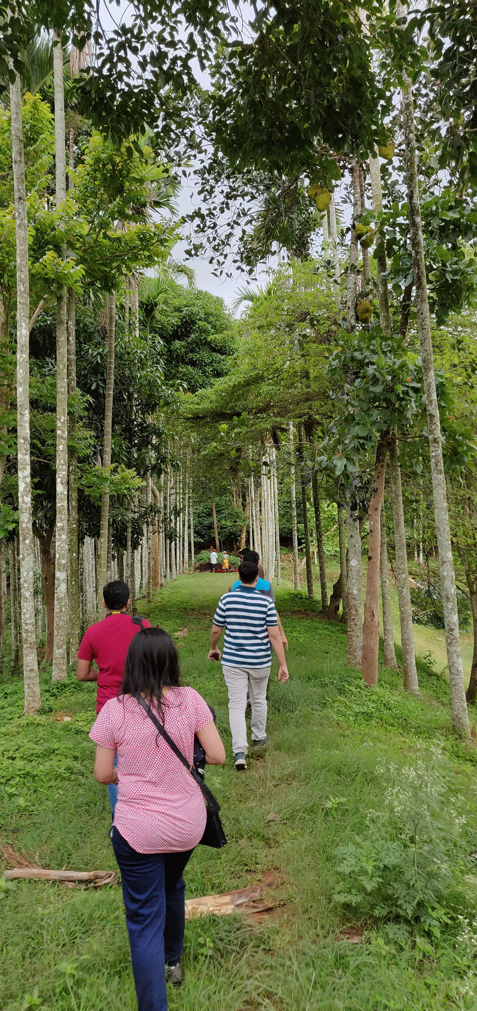 Photo of Coffee & Conversations in Coorg - The Scotland of India by Kaval