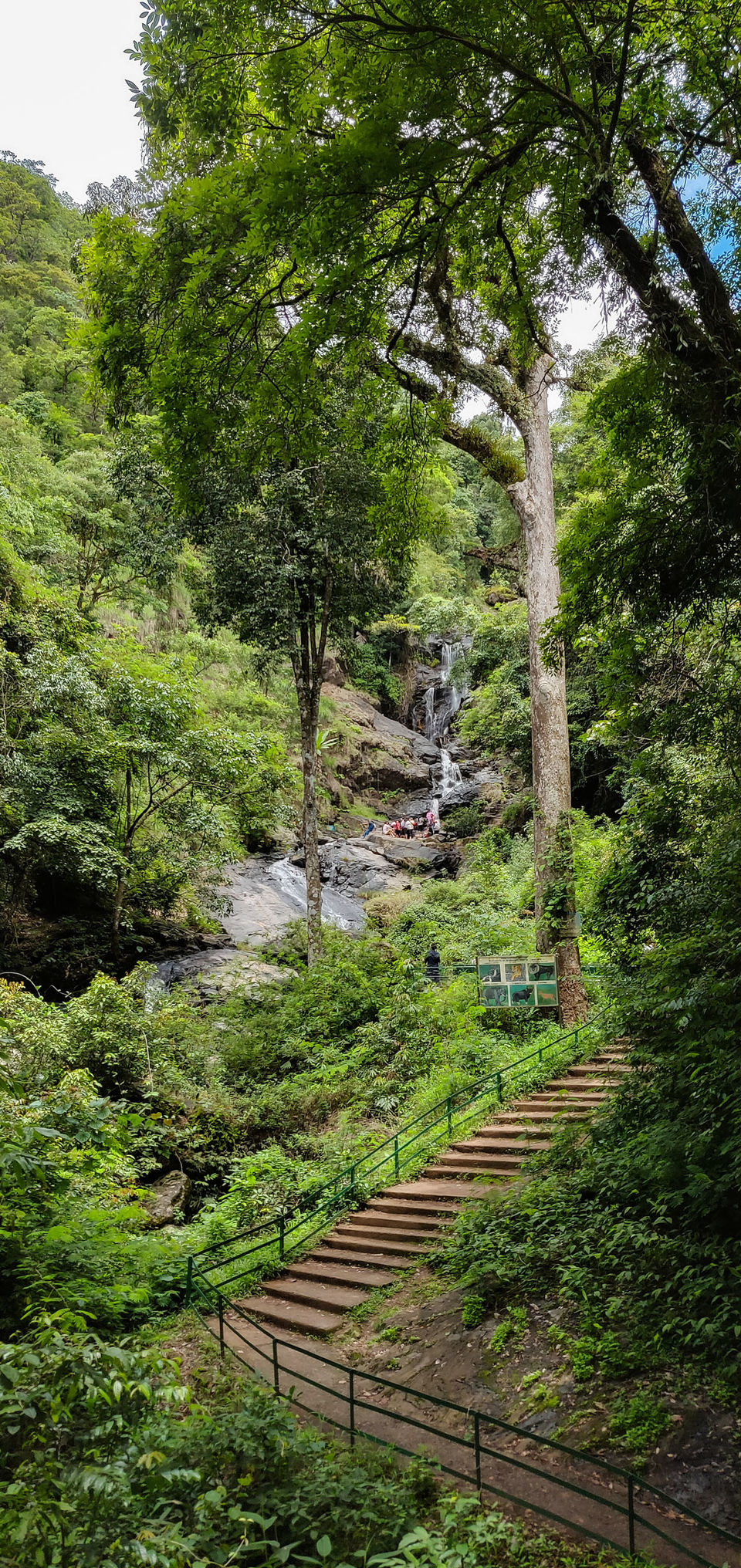 Photo of Coffee & Conversations in Coorg - The Scotland of India by Kaval