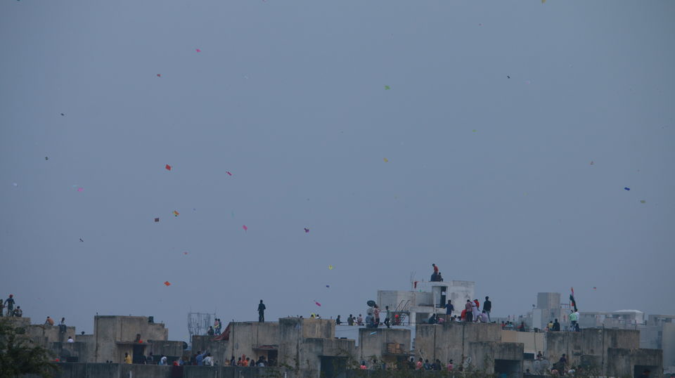Photo of 4 Reasons why you should be in Gujarat on Makar Sankranti 1/15 by Kaval