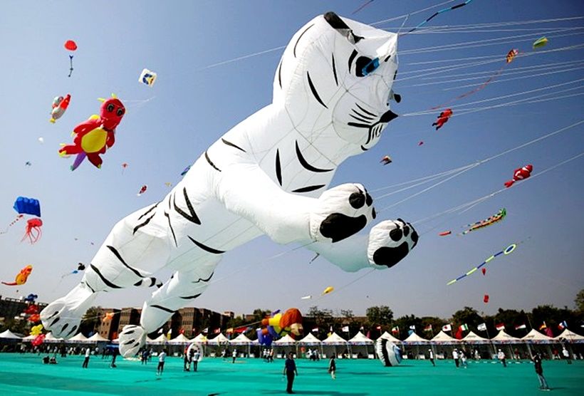 Photo of 4 Reasons why you should be in Gujarat on Makar Sankranti 2/15 by Kaval