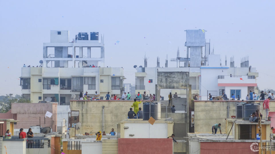 Photo of 4 Reasons why you should be in Gujarat on Makar Sankranti 11/15 by Kaval