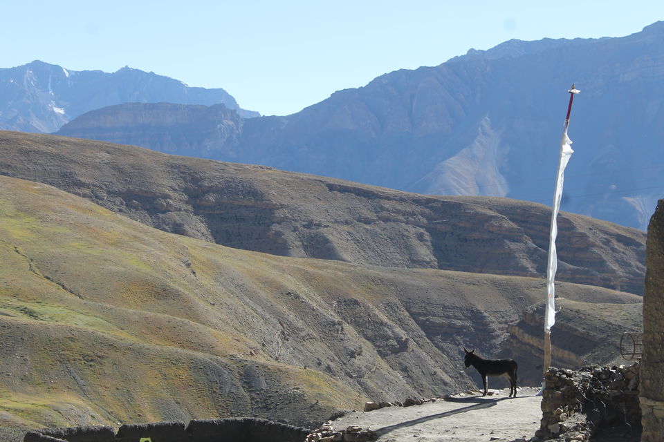 Photo of Kaza, Himachal Pradesh, India by SoulMountain Yayavar