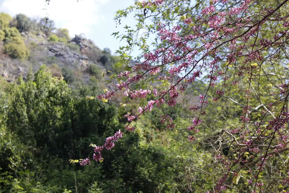 Photo of מצודת מונפורט, אילון, ישראל by Anna Nodelman Yanitsky