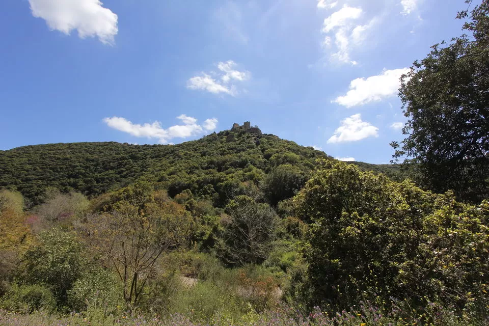 Photo of שמורת נחל כזיב, ישראל by Anna Nodelman Yanitsky