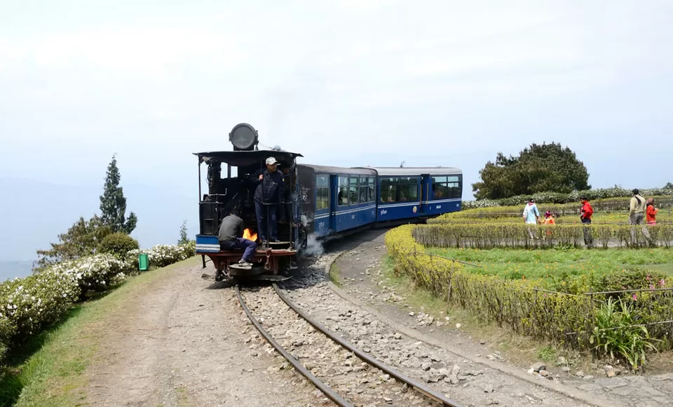 Photo of Darjeeling, West Bengal, India by Ragini Mehra