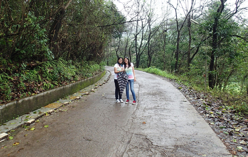 Photo of Epic Road Trips from Mumbai During Monsoon! How Many Have You Done? by Ragini Mehra