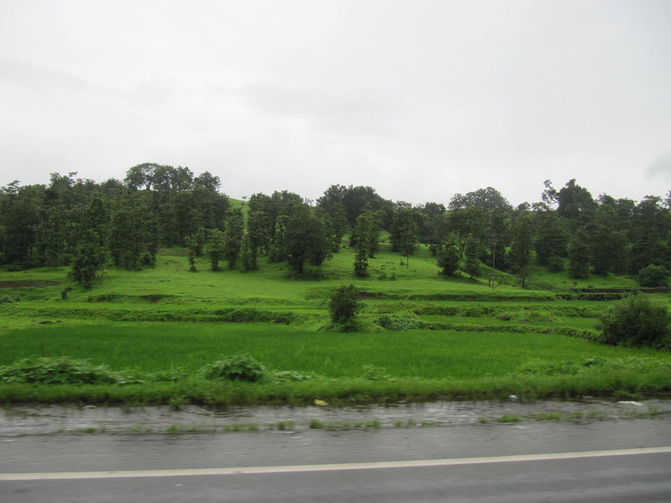 Photo of Malshej Ghat, Maharashtra by Ragini Mehra