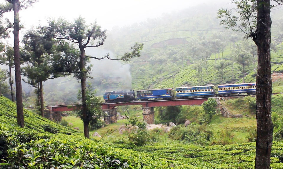 Photo of 24 Hours in Ooty by Ragini Mehra