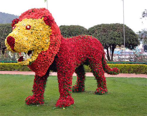 Photo of Government Rose Garden, Bombay Castel, Ooty, Tamil Nadu, India by Ragini Mehra