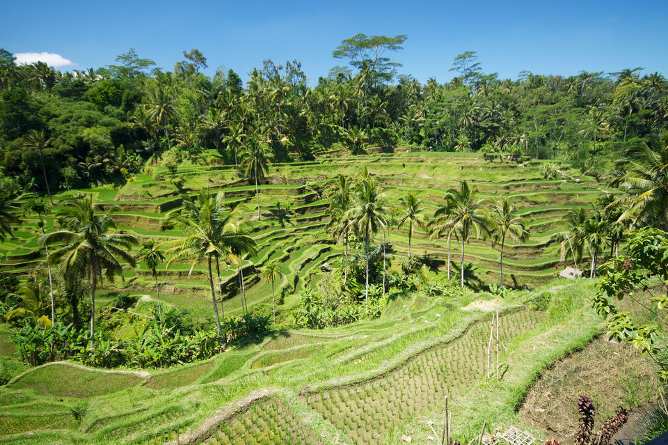 Photo of The Perfect 14-Day Bali Itinerary For The Real Traveller by Ragini Mehra
