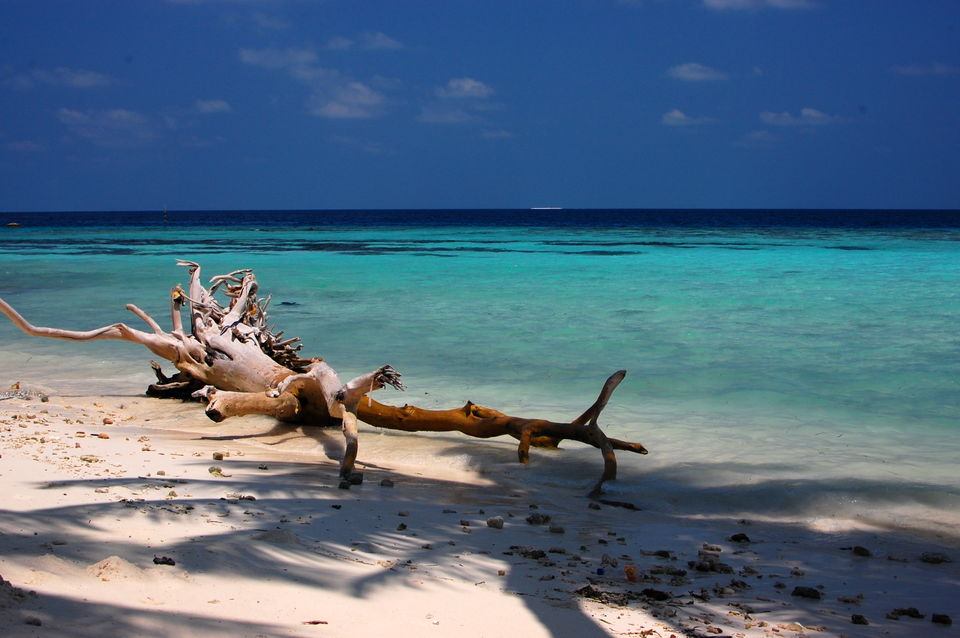 Photo of Maafushi, Maldives by Ragini Mehra