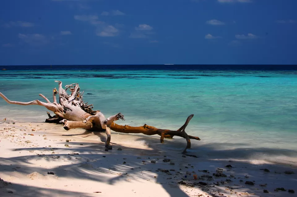 Photo of Maafushi, Maldives by Ragini Mehra