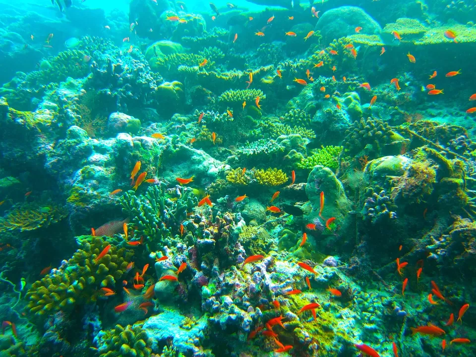 Photo of Fulidhoo, Maldives by Ragini Mehra