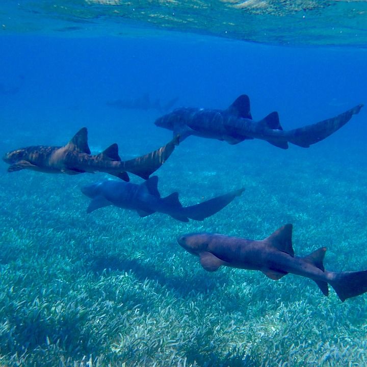 Photo of Fulidhoo, Maldives by Ragini Mehra