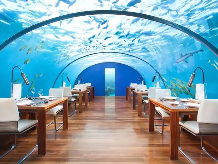 Photo of Your Perfect 14-day Itinerary to the Magical Islands of the Maldives by Ragini Mehra