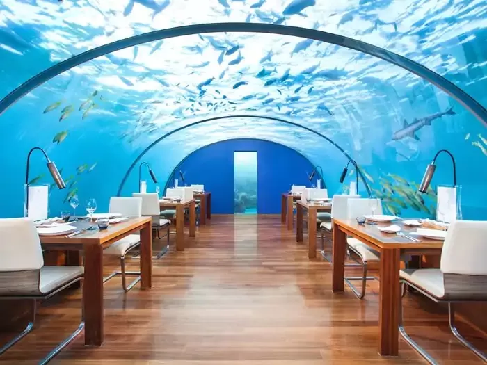 Photo of Your Perfect 14-day Itinerary to the Magical Islands of the Maldives by Ragini Mehra