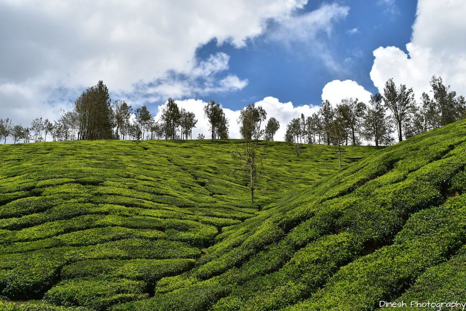 Photo of Where to Travel in India in Your 20s, 30s and 40s by Ragini Mehra