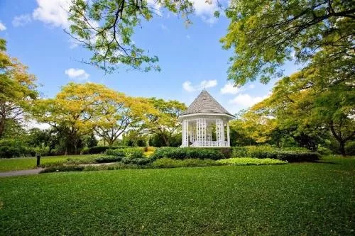 Photo of Cluny Road, Singapore Botanic Gardens, Singapore by Ragini Mehra