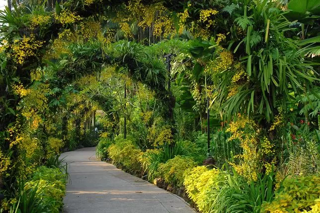 Photo of Cluny Road, Singapore Botanic Gardens, Singapore by Ragini Mehra