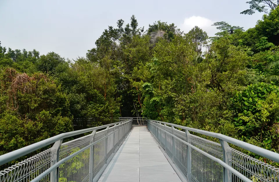 Photo of Southern Ridges, Singapore by Ragini Mehra