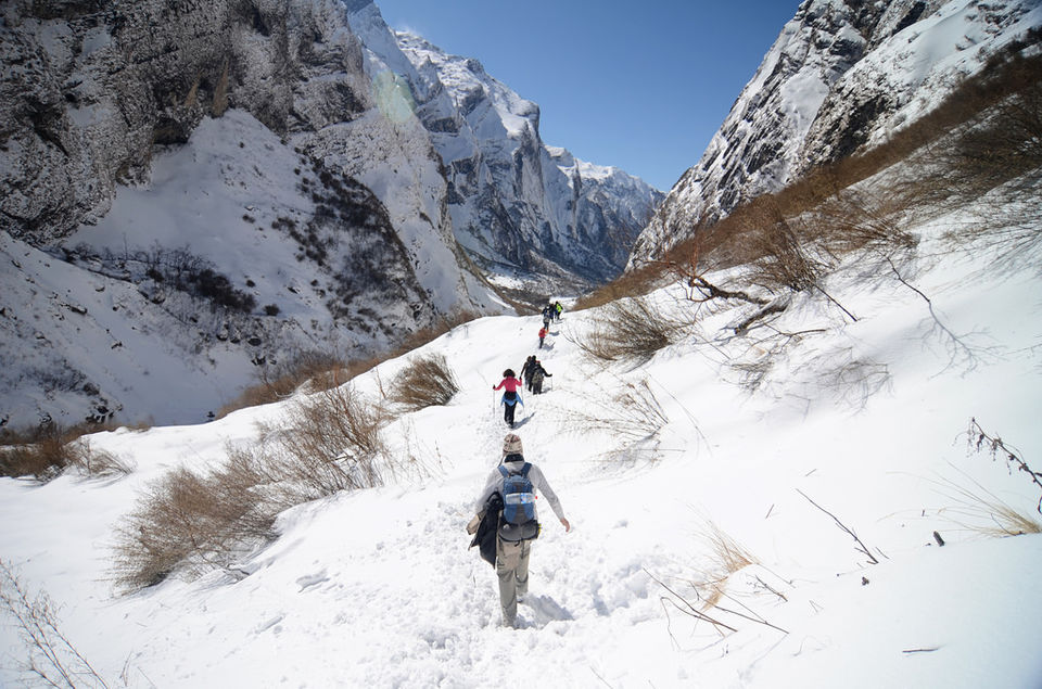 Photo of Annapurna Base Camp vs Everest Base Camp – Which Trek Should You Go For? by Ragini Mehra