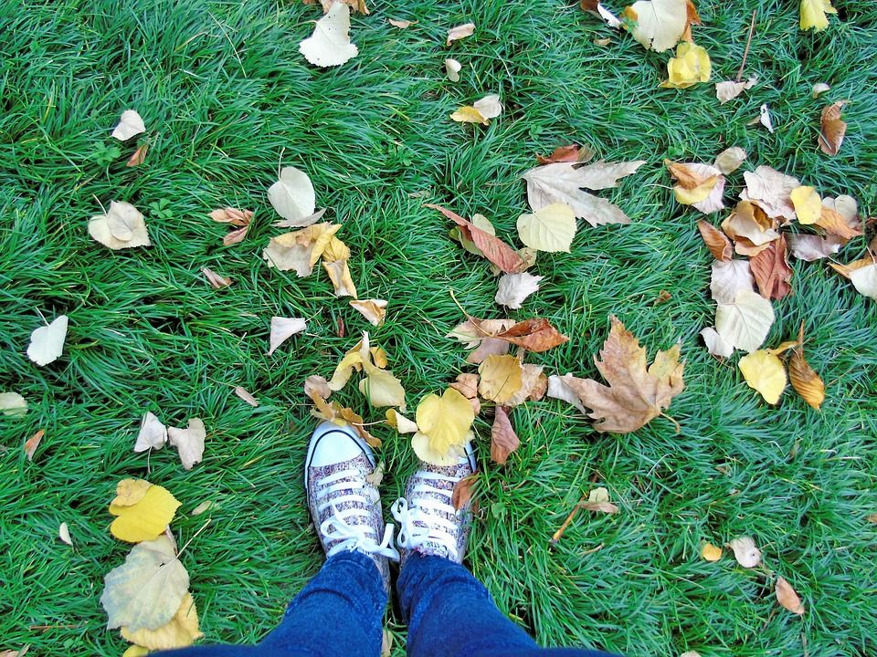 Photo of Hostels, Homestays or Couchsurfing – What’s the Ideal Accommodation Choice for a Solo Traveller? 3/4 by Ragini Mehra