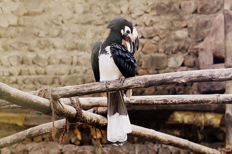Photo of Nagaland Itinerary: Top Things to See and Do in 5 Days by Ragini Mehra