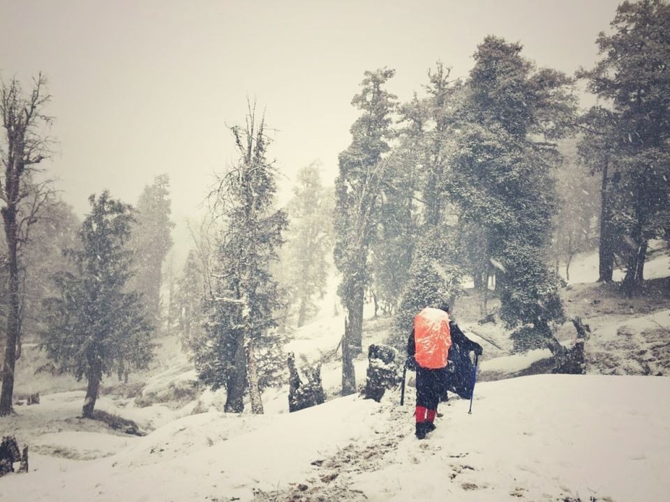 Photo of Kedarkantha Summit, Bandiyar, Uttarakhand, India by ARONEE KAR