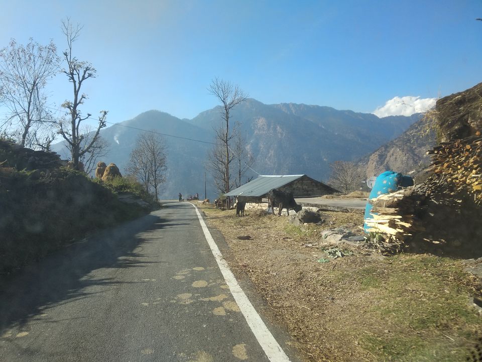 Photo of Munsyari, Uttarakhand, India by Rohit Sharma