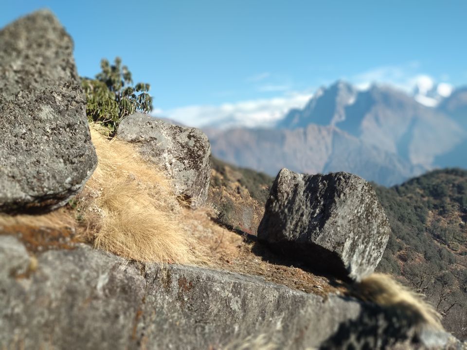 Photo of Zero Point Khaliya Top Munsyari, Khaliya, Uttarakhand, India by Rohit Sharma