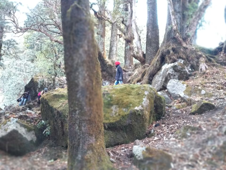 Photo of Munsiari, A Mysterious and Unknown Place in UK to most travelers till now including us! by Rohit Sharma