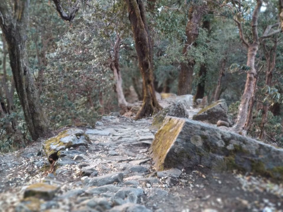 Photo of Munsiari, A Mysterious and Unknown Place in UK to most travelers till now including us! by Rohit Sharma