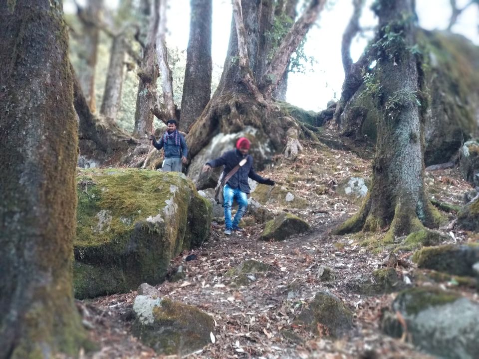 Photo of Munsiari, A Mysterious and Unknown Place in UK to most travelers till now including us! by Rohit Sharma