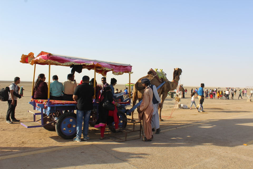 Photo of Rann Utsav - the festive welcome of Kutch by Debabrata Nayak