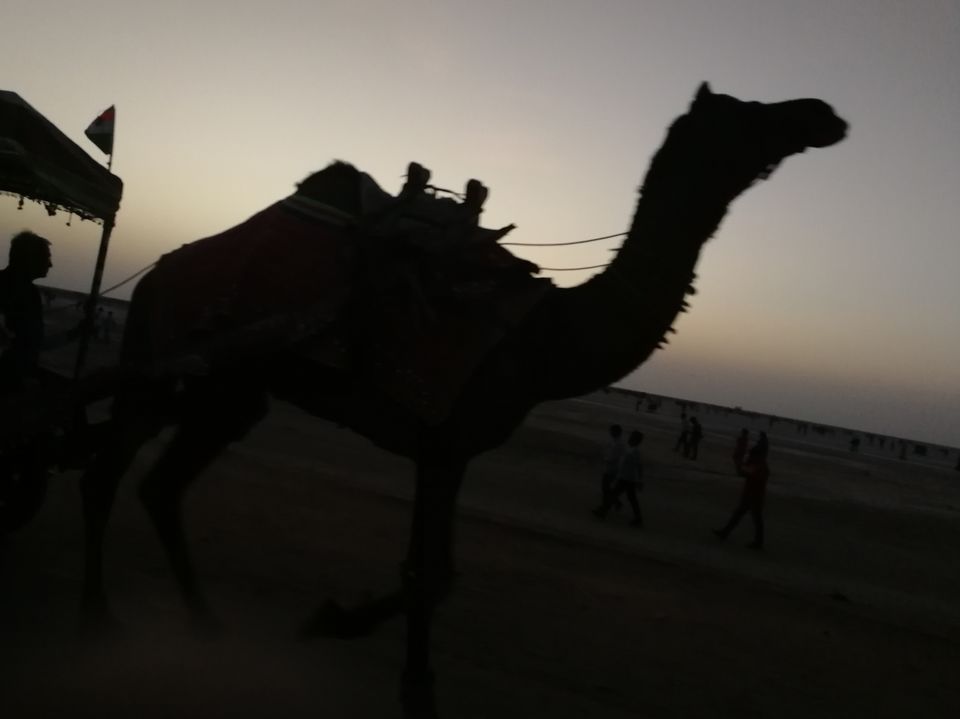 Photo of Rann Utsav - the festive welcome of Kutch by Debabrata Nayak