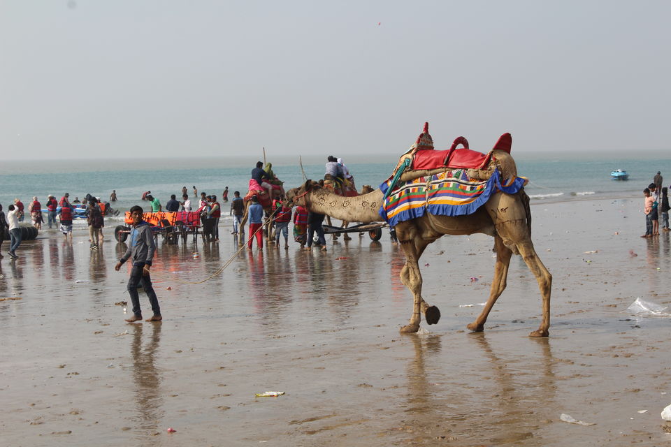 Photo of Rann Utsav - the festive welcome of Kutch by Debabrata Nayak