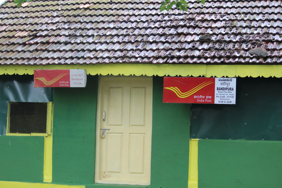 Photo of Bandipur National Park, Bandipur, Karnataka, India by Debabrata Nayak