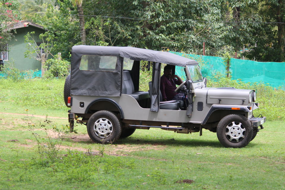 Photo of Bandipur National Park, Bandipur, Karnataka, India by Debabrata Nayak