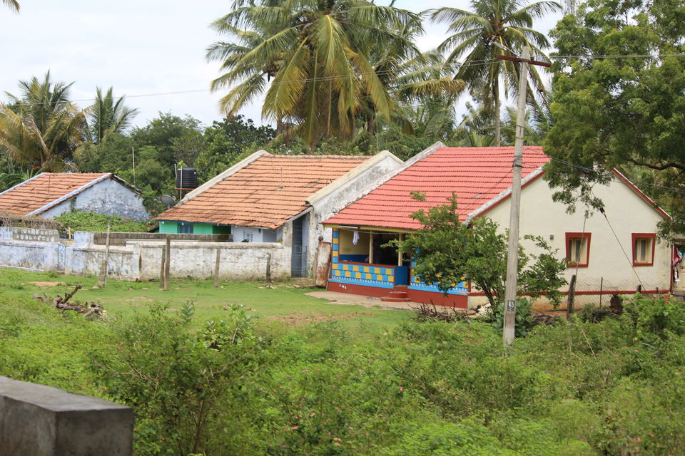 Photo of Bandipur National Park, Bandipur, Karnataka, India by Debabrata Nayak