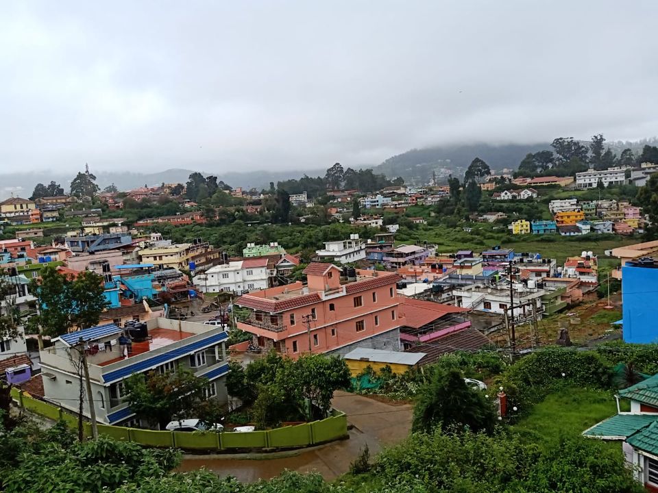 Photo of Government Tea Garden Ooty, Doddabetta Peak, Ooty, Tamil Nadu, India by Debabrata Nayak